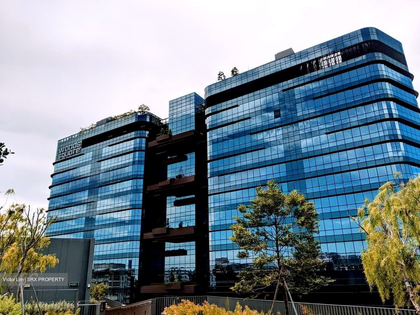 Woods Square (D25), Office #575444071